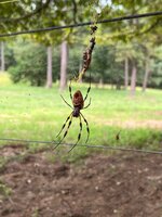 IMG_6817.JPG