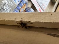 IMG_6843.JPG