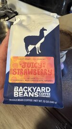 IMG_7928.jpeg