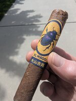 PXL_20260608_215020725.jpg