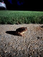 IMG_8283.JPG