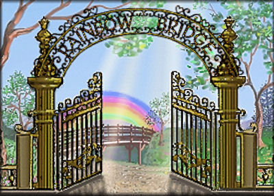 rainbowsbridge.com