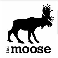 moose77