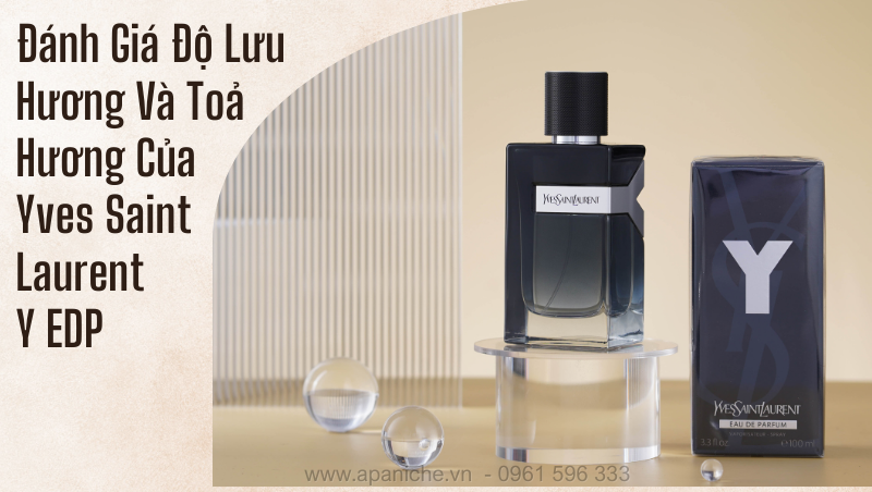 ysl-y-edp-luu-huong-toa-huong-rat-tot.png