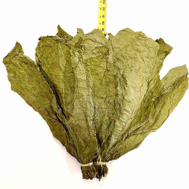 wholeleaftobacco.com